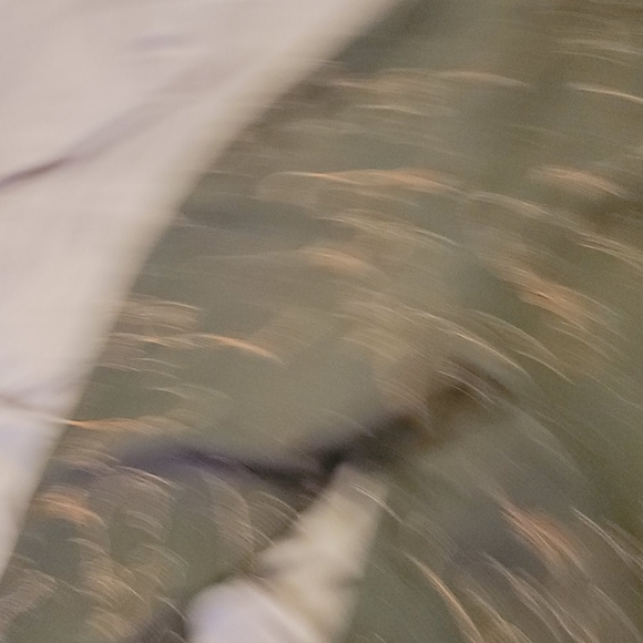 Intuitions  Jaguar Green Pants suite - Picture 8 of 8